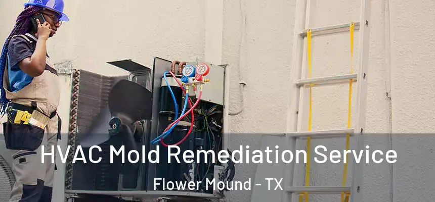  HVAC Mold Remediation Service Flower Mound - TX