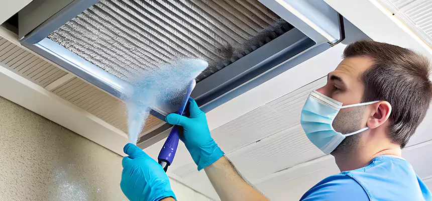 Proactive Dryer Vent & Auxiliary Duct Pollen Cleanup in Flower Mound, TX