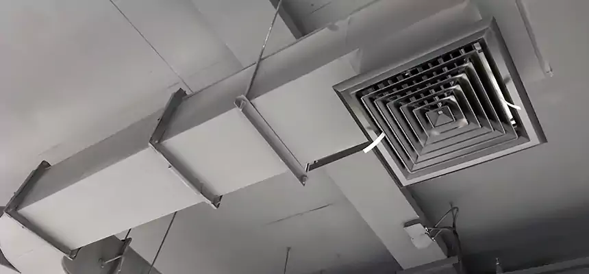 Restorative Allergy Relief Vent Cleaning – Coil, Blower & Housing Detail in Flower Mound