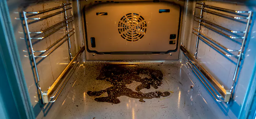 Our Dryer Vent Mold Cleaning Services in Flower Mound, TX