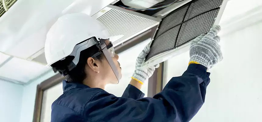 Our Mold & Mildew Removal from Air Ducts Services in Flower Mound, TX