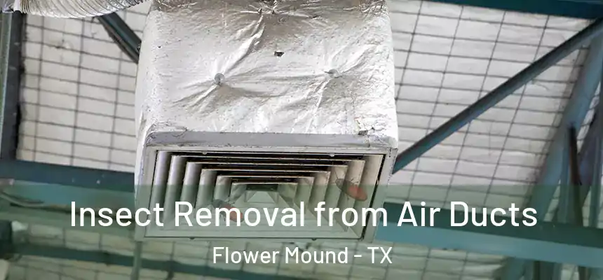 Insect Removal from Air Ducts Flower Mound - TX