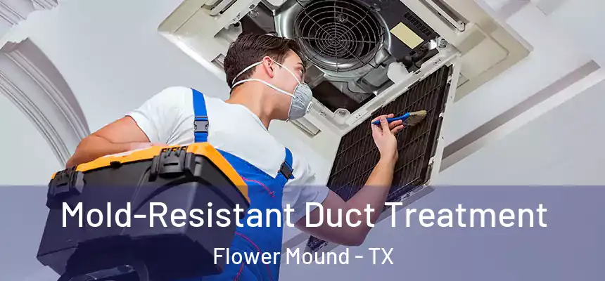 Mold-Resistant Duct Treatment Flower Mound - TX