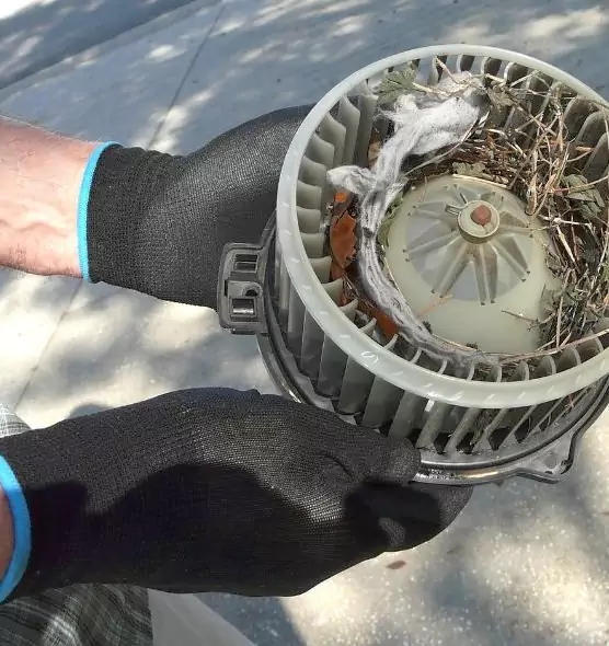 About Air Duct Mice Removal in Flower Mound, TX