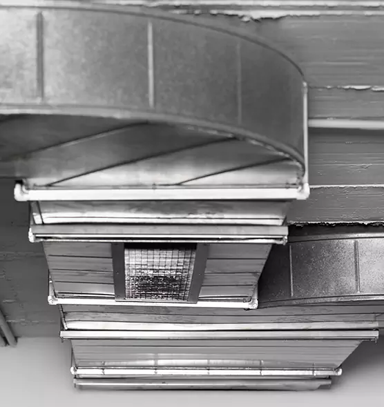 Professional Air Duct Pest Removal in Flower Mound, TX