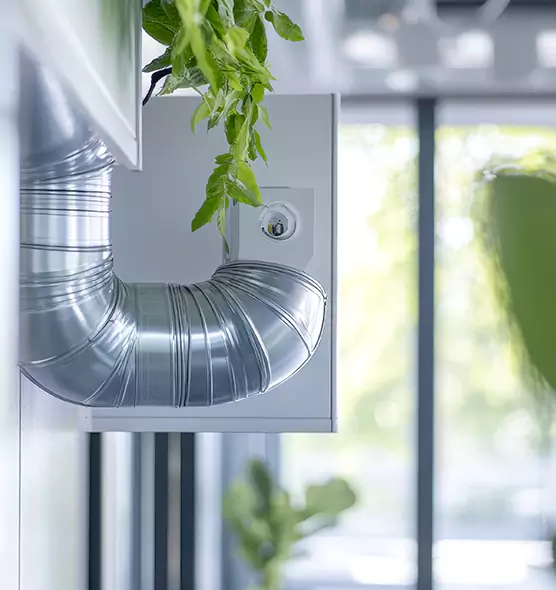 Professional Eco-Safe Dryer Vent Cleaning in Flower Mound, TX