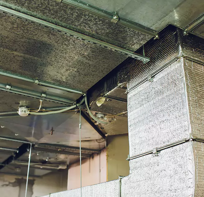 Why Homeowners & Businesses Trust Us in Flower Mound, TX?